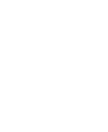 Logo Insight
