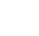 Logo Virginale